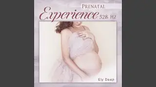 Prenatal Experience