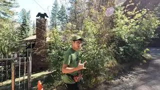 Heizer Trail - Cascade, Colorado