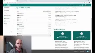 Betatester - Webseiten, Apps und &Auml;hnliches testen und daf&uuml;r bezahlt werden - Testbirds