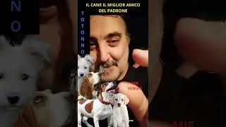 IL CANE IL MIGLIOR AMICO DEL PADRONE !