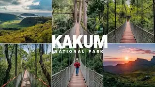 Travel Vlog - Visiting KAKUM National Park & Canopy Walk (Ghana - Cape Coast)