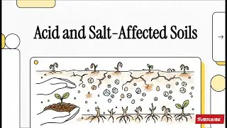 Summary of Lesson 6 | Acidic & Salt Affected Soils | Acidic & Saline Soils & Water #chemguruacademy