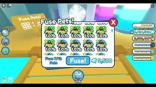 What happens when you fuse 12 Festive Elf? (Pet Simulator X!)