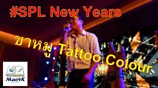 ขาหมู แทททูคัลเลอร์Tattoo Colour