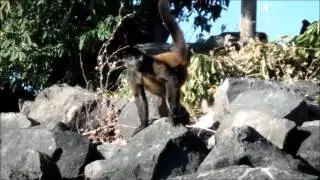 Monkey Island and Apoyo Lagoon in Nicaragua
