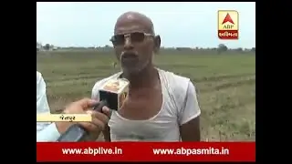 Damage to crop from polluted water of the Dyeing Industry in jetpur Rajkot