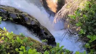 Nooksack Falls, Washington