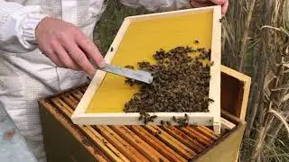 🐝Apiculture 2022🐝             Visite du 18 f&eacute;vrier