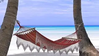 Tropical Beach Relaxation | Beautiful Beaches with relaxing piano music