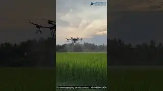 Drone Spraying for Paddy | Aerotics Technologies LLP #farming #drone #paddy #spraying #tamilnadu