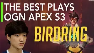 Best Plays of Kongdoo Panthera Birdring | OGN Overwatch APEX S3 Highlights