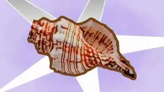 CRAFT CAT! CONCH TRUMPET SHELL HORN