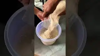 Jamur Beauveria Bassiana menjadi pilihan yg tepat dalam pengendalian Hama Penggerek Buah Kopi (PBKo)