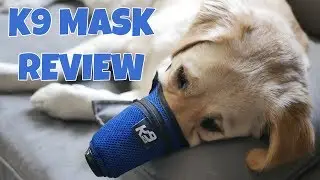Dog Anti Air Pollution Mask // K9 Mask Dog Air Filter Review // Smoke Mask For Dogs