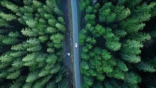 Simplicity - Relaxing Zen and Meditating Music