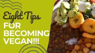 How to be successful with going  plant based!