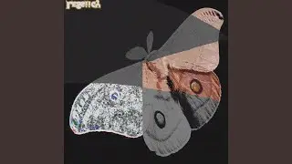 HINDWINGS