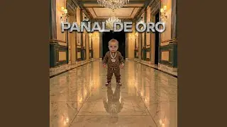 PA&Ntilde;AL DE ORO