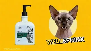 Make Your Sphynx Cat Love Bath Time!
