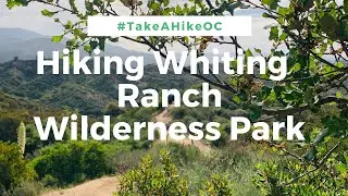 Whiting Ranch Wilderness Park: Hiking the Dreaded Hill and Billy Goat Trails for Ultimate Fitness