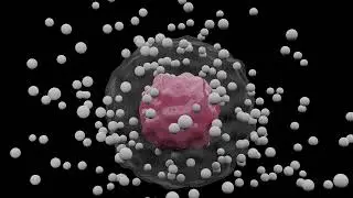 Alkylating Agents Antineoplastic Drug for Cancer