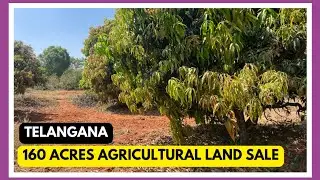 Acres Agricultural Land for Sale ||  Siddipet District, Telangana