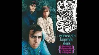 The West Coast Pop Art Experimental Band - 