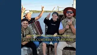 Piel de cordero / Olvidame