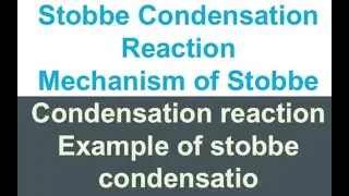 Stobbe Condensation Reaction/Mechanism of Stobbe Condensation reaction/Example of stobbe condensatio