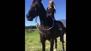 Horse riding bareback by a beautiful lady in the backyard #horseriding #friesianhorse #bareback