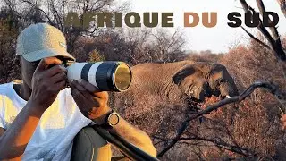 Safari en Afrique du Sud