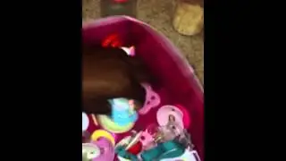 Reborn paci and bottle collection