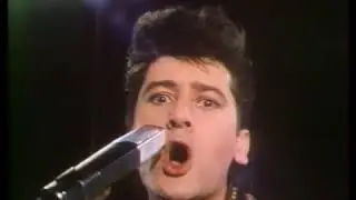 ALAIN BASHUNG C'est comment qu'on freine (Bashung/Gainsbourg)