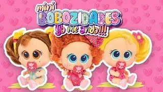Chamoy y Amiguis - Mini Bobozidades - Distroller