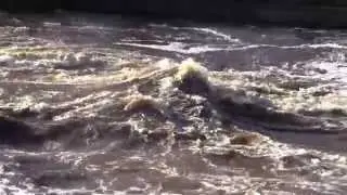Pyh&auml;joen kes&auml;tulva - Pyh&auml;joki summer flood!