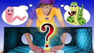 Guess What's in The Mystery Box! 📦⁇ | Kids Funny Songs
