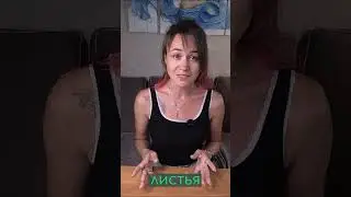 Скоро на канале новое видео &mdash; не пропустите! NPK PH EC PPM | Макро и микро #plants #shorts #npk