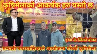 मन्थली नगरपालिकाले आयोजना गरेको कृषि तथा लघु उद्यम प्रदर्शनी सम्पन्न मेलाको आकर्षक १०० kg को बोका 