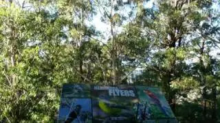 Illawarra Fly Walk