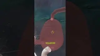 😲Что, если бы кит проглотил тебя (ЖИВЫМ)?#шорты