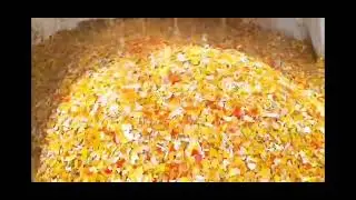 Plastic recycling and sorting equipment #pet #plastic #machine #colorsorter