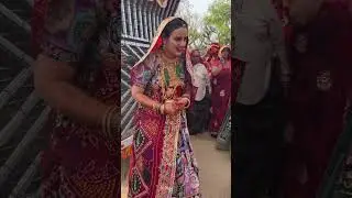 shekhawati sadi dance #dj #marwadi #rajasthani #dance #rajthani #folkdance #indiandance #shekhawati