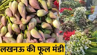 Lucknow flower market| लखनऊ फूल मंडी| Saleem Azad Vlogs
