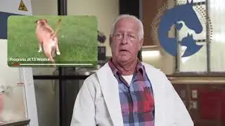 Dr. David Bird Answers Questions About Stem Cell Therapy | ActiStem Therapy