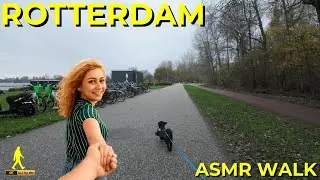 Peaceful Morning in Kralingse Bos Rotterdam | Breathtaking Dutch Forest ASMR Walk In 4K!