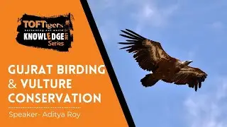 TOFTigers Knowledge Series -  Gujarat Birding & Vulture Conservation with Aditya Roy