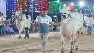అన్నంబోట్లవారి పాలెం న్యూ కేటగిరీ 7వ జత vedhullapalli శ్రీనివాసరావు, శాఖమూరి విజయ్ కుమార్ గారు3991.2