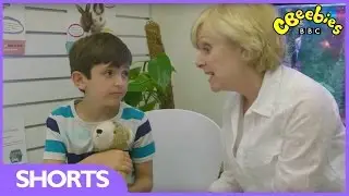 CBeebies: Topsy and Tim - Lovely Mossy - Series 3
