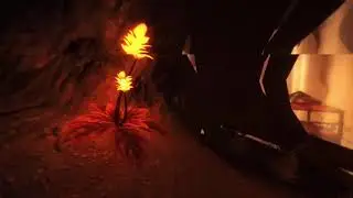 Finding Owl's | Among the sleep #3
