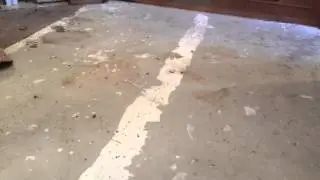 Stained Concrete In Rockwall, Tx
